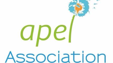 apel11